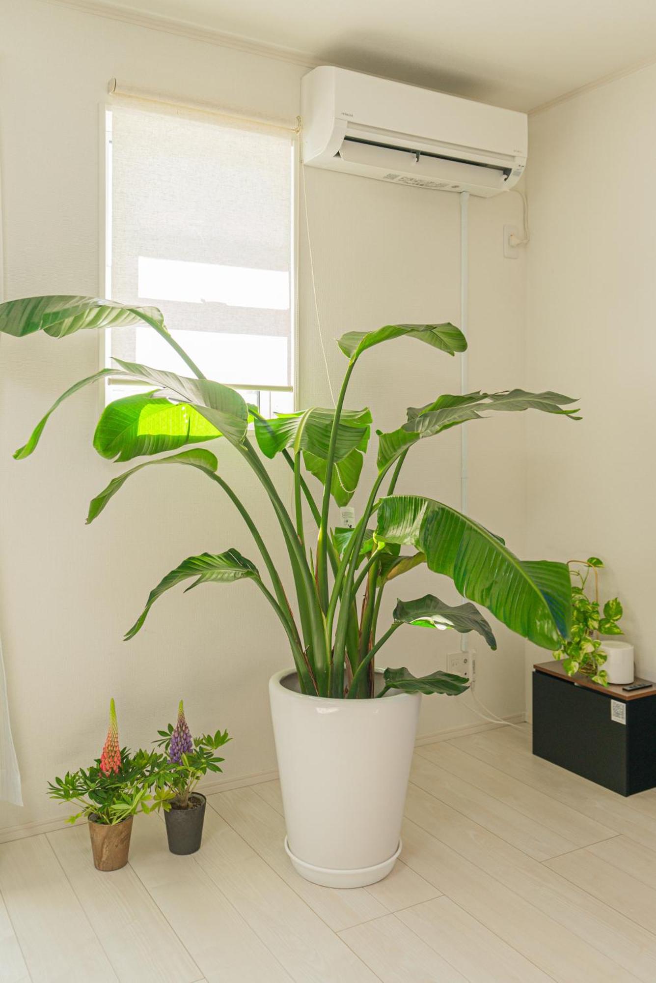 Casa vacanze I Skytreeまで14分 最大10人 新築 一戸貸 Wifi完備 洗濯乾燥機 駐車場二台分 植物好き Tokyo